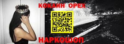 гидра Гатчина