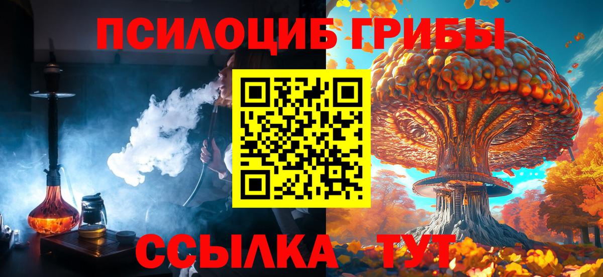 Галлюциногенные грибы Psilocybine cubensis  где найти наркотики  Берёзовский 