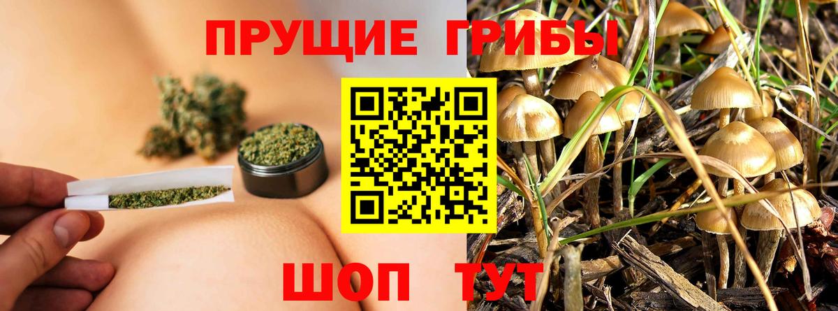 Берёзовский  Псилоцибиновые грибы Psilocybe  Вход с VPN 